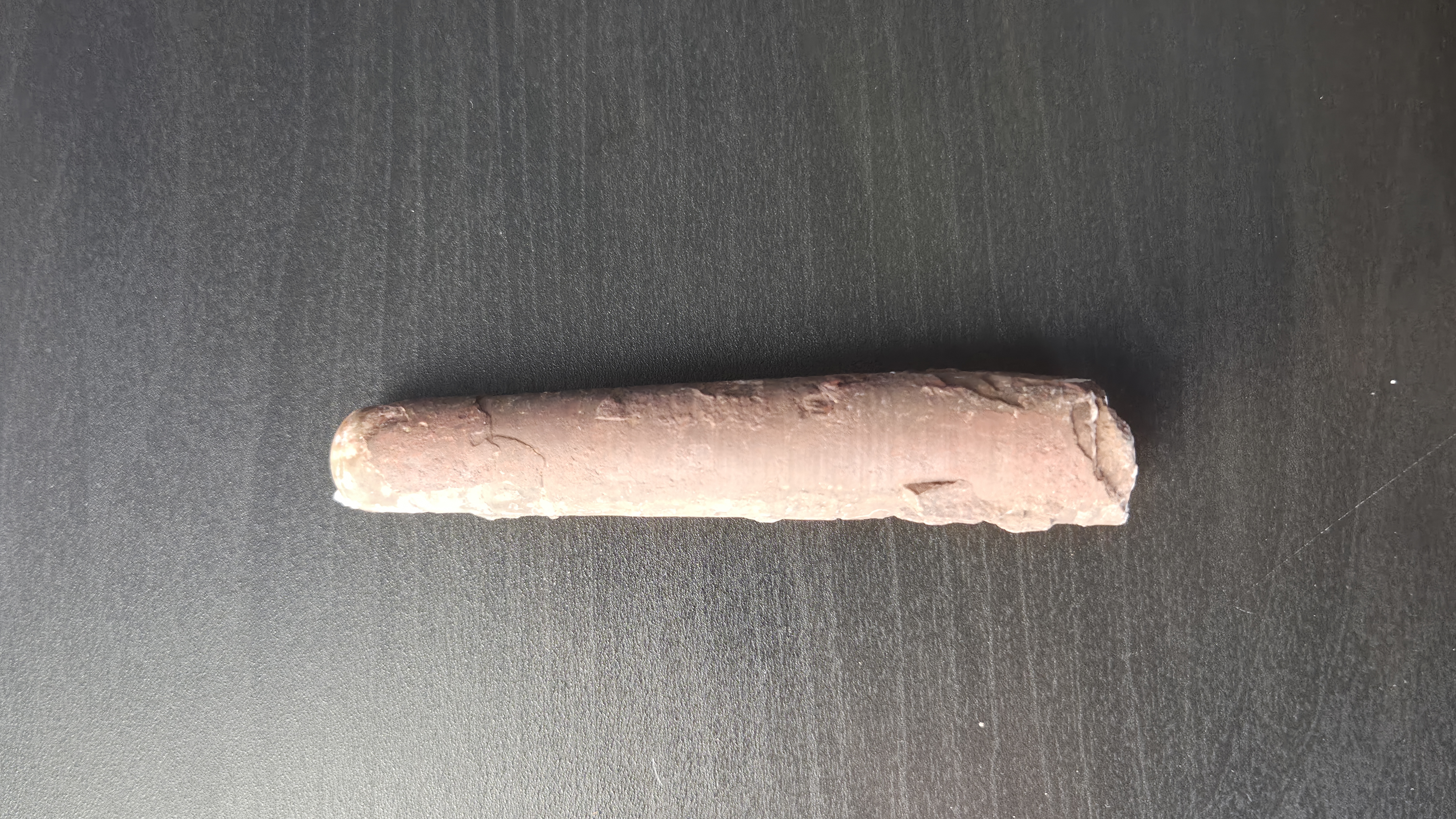 Belemnite