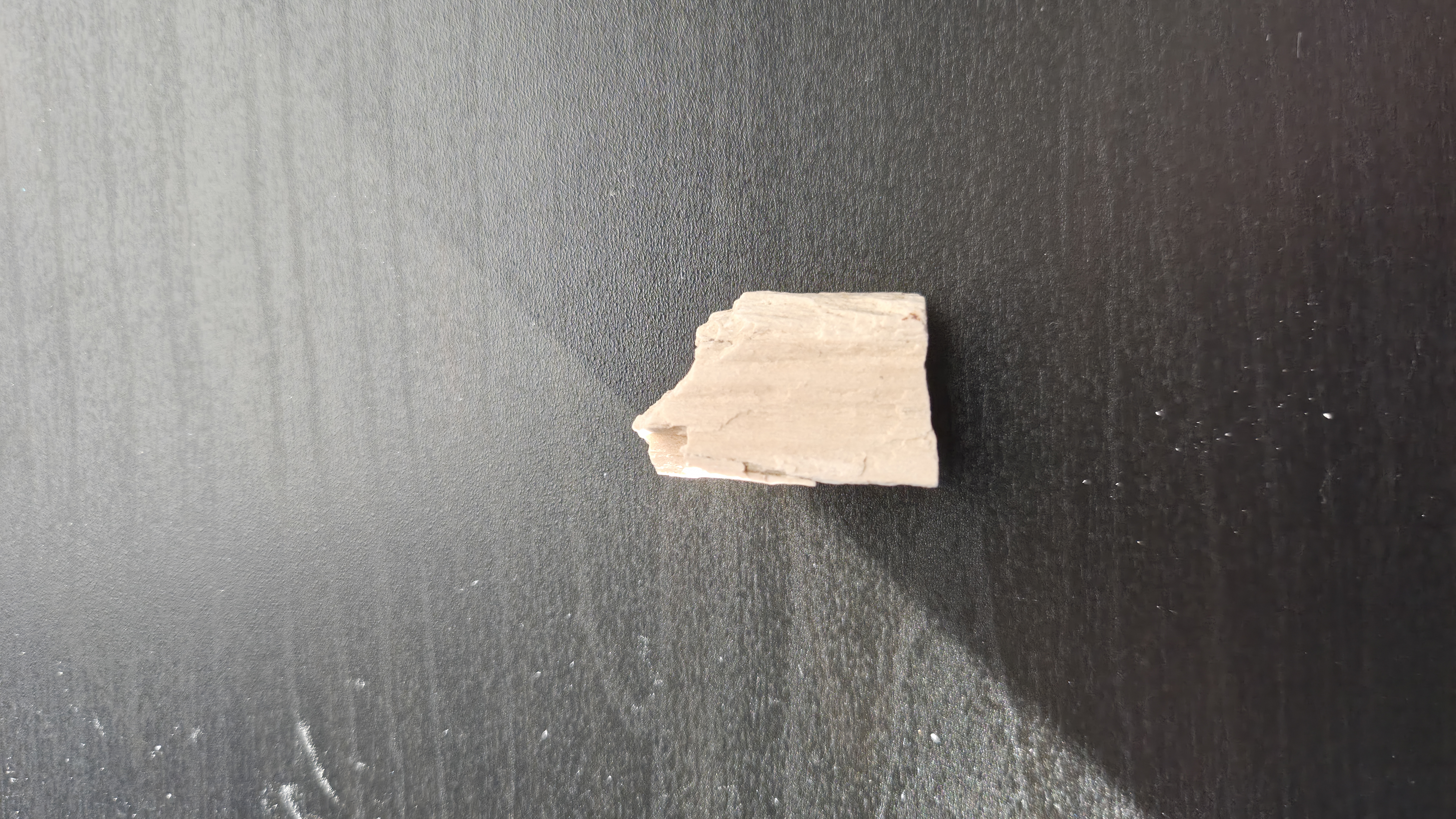 Petrified Wood