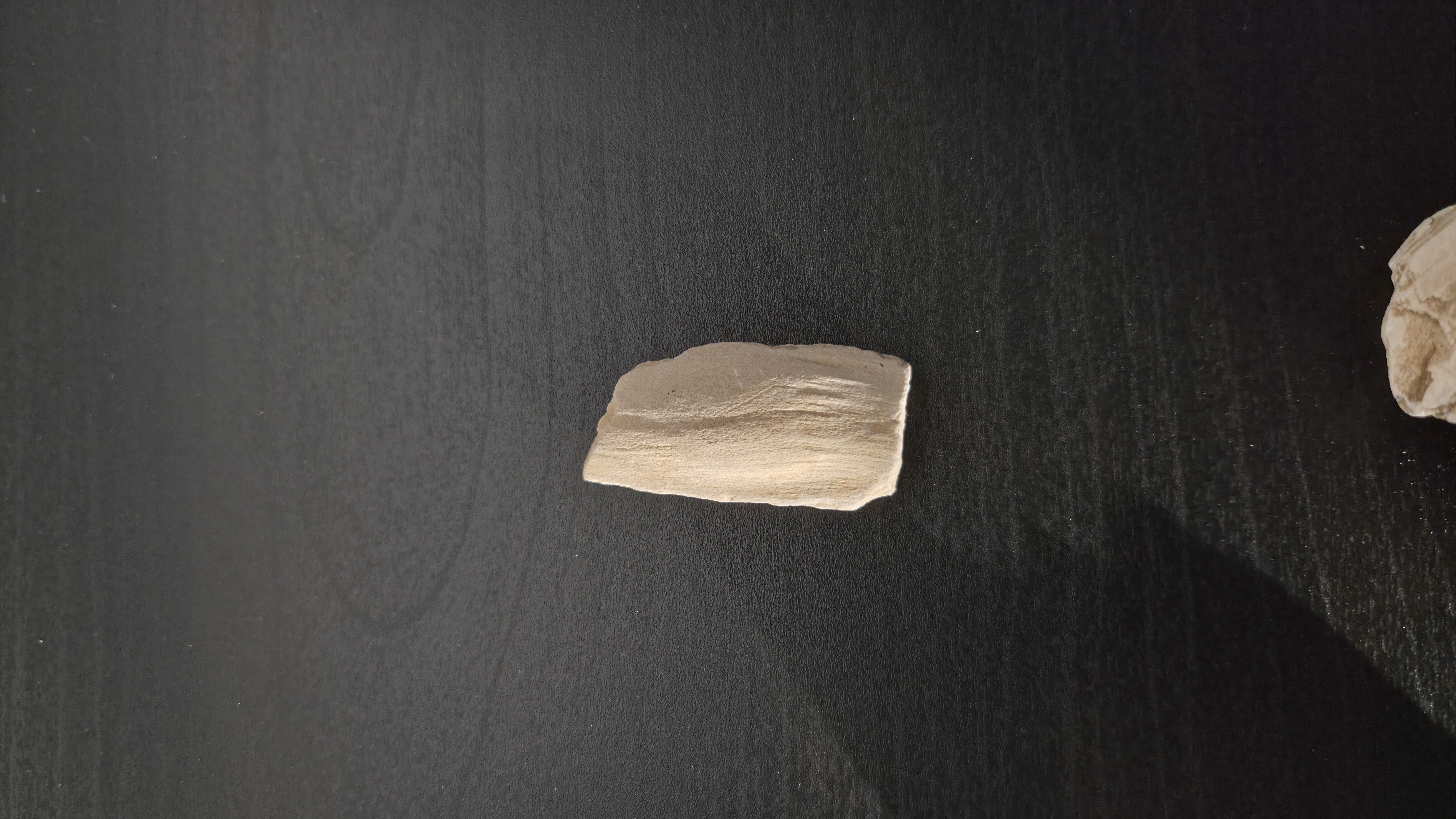 Petrified Wood