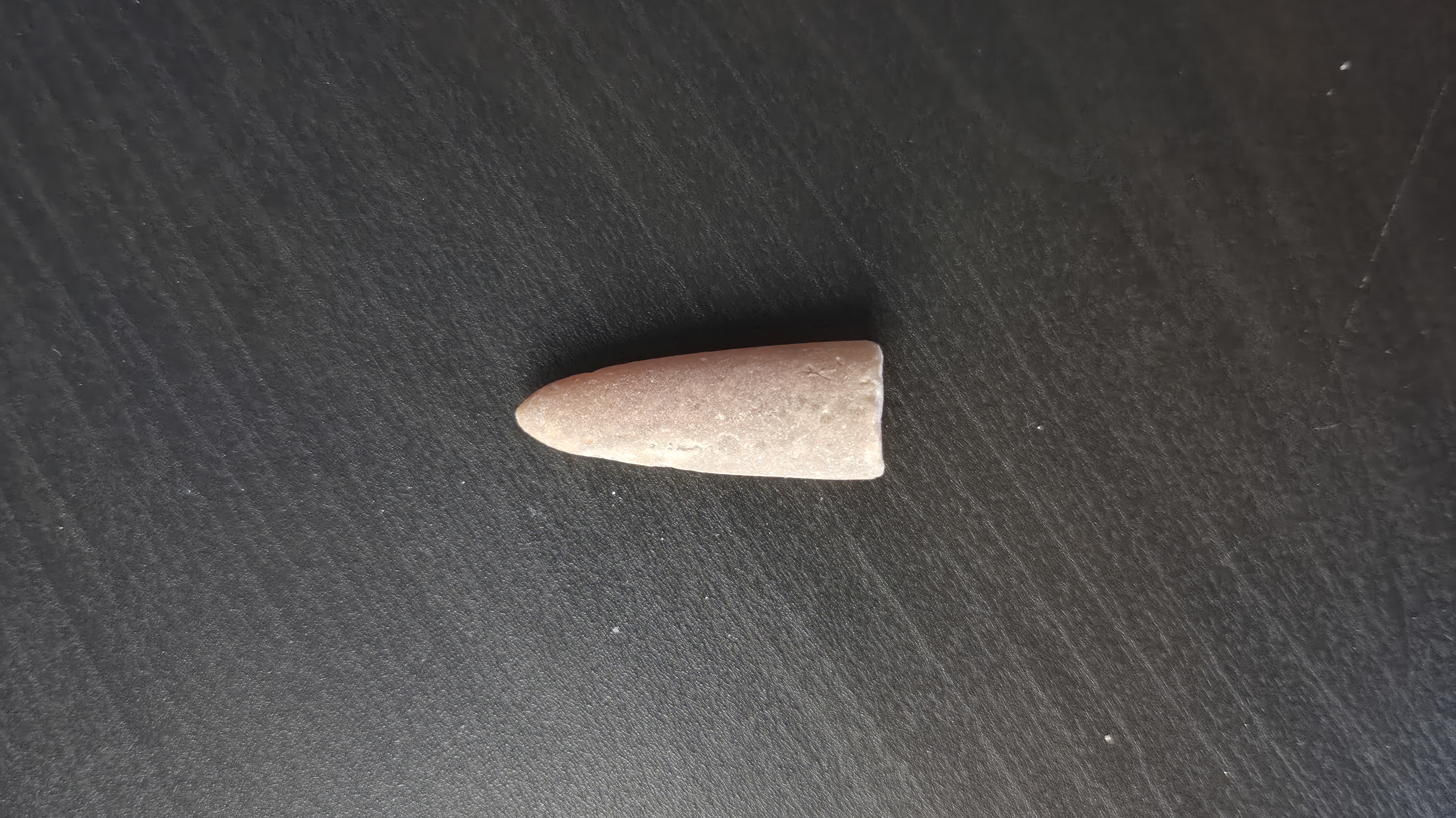 Belemnite