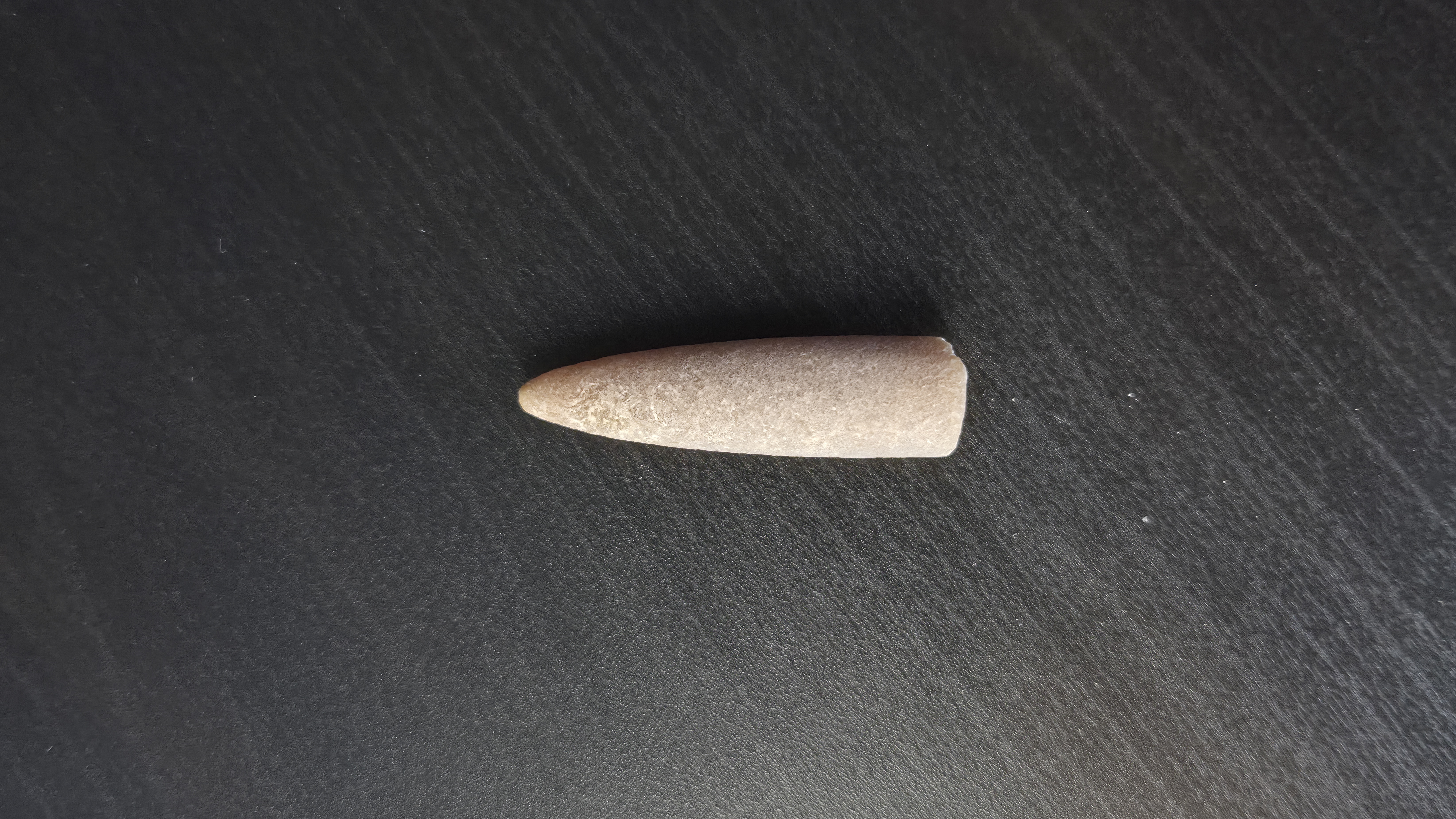 Belemnite